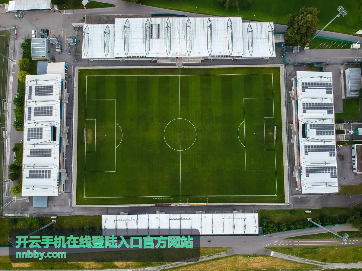 开云每日更新动态预览